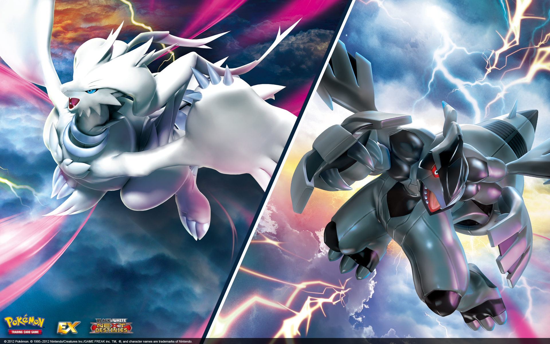 Scarlet & Purple Pokémon TCG: Black Lightning & White Flame